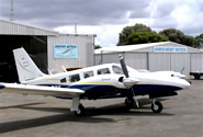 Piper Senaca